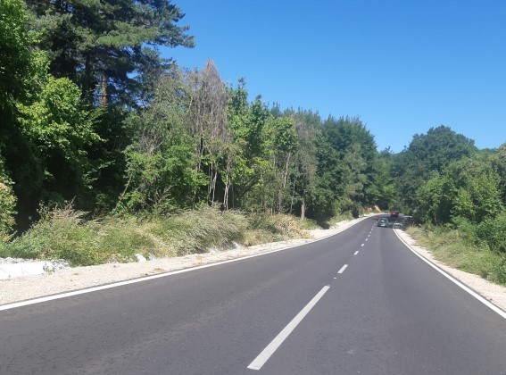 Ограничава се движението по път II-81 проход "Петрохан" на разклона за Гаганица посока Берковица поради ПТП