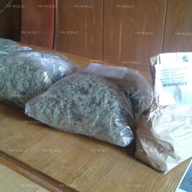 Митническите служители задържаха близо 2.5 кг марихуана в района на ГКПП Дунав мост-Видин