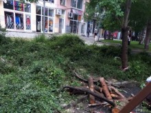 Противопожарната служба във Видин е реагирала на 18 сигнала, след бурята в района