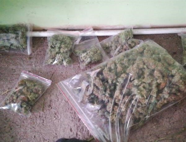 Над 11 кг марихуана откриха митническите служители на МП Капитан Андреево