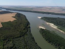 Обявена е защитена местност "Есетрите - Ветрен" на река Дунав