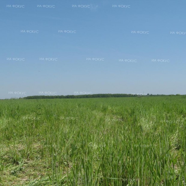 Средната цена на земеделска земя в област Добрич продължава да бъде най-висока в страната, показва статистиката