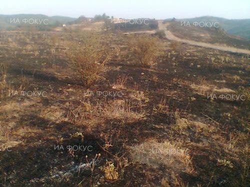 640 дка пшеница са изгорели при пожар в добруджанското село Кладенци