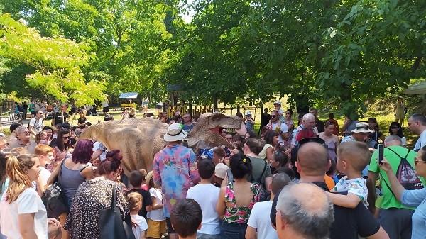 Динозавър и бял мечок се разхождат свободно в Зоопарк Ловеч