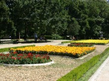 Обработка срещу комари ще бъде извършена на 6 юли в Градски парк "Свети Георги" и в други зони в Добрич