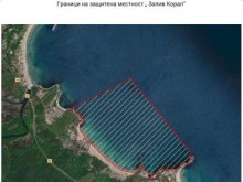 Министерството на околната среда и водите обяви защитена местност "Залив Корал"