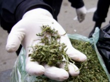 Иззети наркотични вещества и задържани при операция на полицията в Сливен срещу наркоразпространението