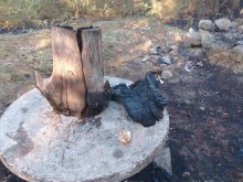 Незагасено барбекю причини пожар в борова гора в община Невестино