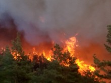 РДПБЗН – Варна напомня за правилата и нормите за пожарната безопасност при извършване на дейности в земеделските земи
