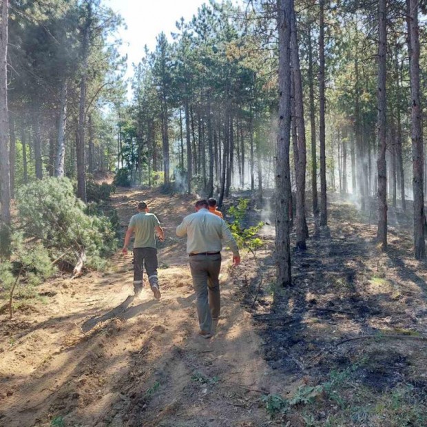 Около 100 горски служители и пожарникари гасят пожара в иглолистните гори в землището на с. Калугерово