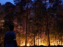 Над 2500 хектара гори са изгорели в Националния парк Дадия в Североизточна Гърция