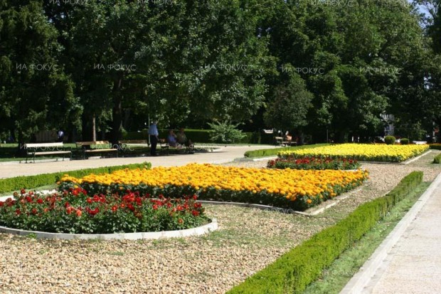 В Добрич ще обсъдят проблема с ливадната пеперуда и нанесените щети върху пролетните култури