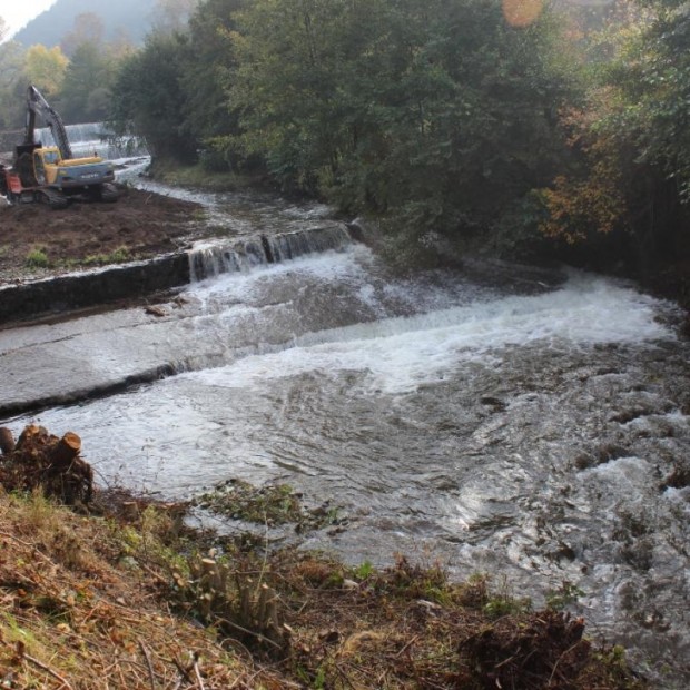 Община Благоевград стартира дейности по почистване на коритото на река Благоевградска Бистрица от саморасли храсти и дървета
