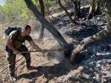 Военнослужещи от Сухопътните войски и днес помагат за потушаване на пожара край село Брягово, област Хасково