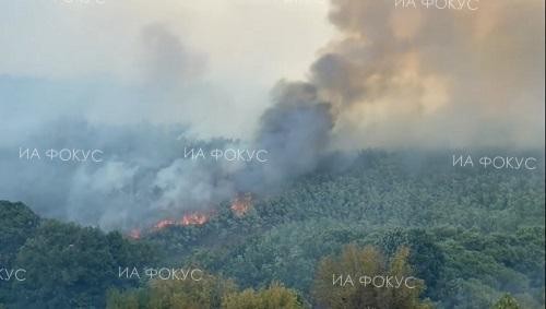 Взривени боеприпаси по време на военно учение е причината за пожара в Казанлък