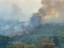 Локализиран е пожарът до военния полигон край Казанлък
