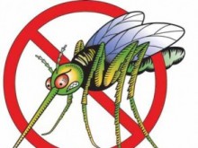 В късните часове днес ще се извърши пръскане срещу комари на територията на Русе