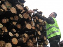Агенцията по горите засилва проверките за снабдяване с дървесина