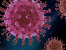 Наноматериал неутрализира вируса SARS-CoV-2