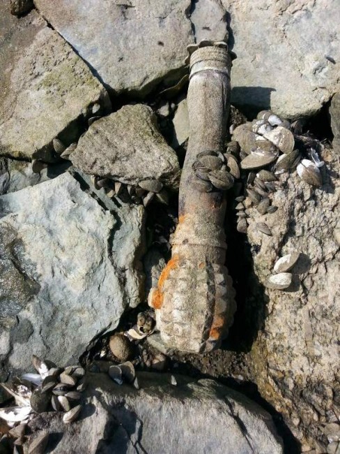Военнослужещи от Сухопътните войски унищожиха невзривен боеприпас, открит в Шивачево, област Сливен