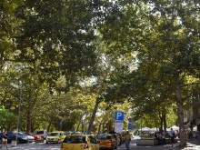 От 1 септември влиза в сила решението на Общински съвет - Разград за синя зона в още два паркинга