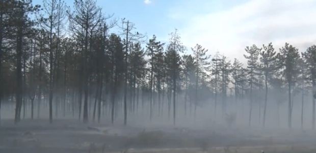 Пожарът в Свиленградско унищожи 3000 декара гора