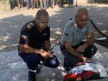 Полицаи отдадоха почит към загиналите преди 23 години шестима служители на МВР