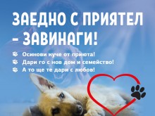Чудесна инициатива ни очаква в центъра на Пловдив!