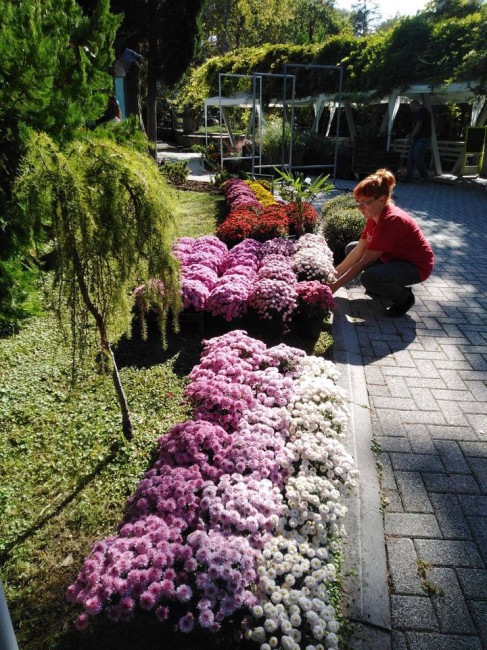 Цветният базар Флора Есен очаква своите посетители в дните от