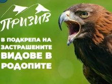 Кампания дава гласност на проблема с изчезващите животни в Родопите