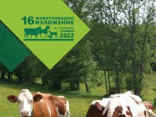 Земеделският министър идва в Сливен за откриването на животновъдното изложение