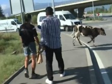 ��� ��� �� ��������� � �����, ������ �� ���� �� �� �������� ��������������� �������