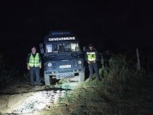 Жандармеристи от Пловдив охраняват лозови масиви
