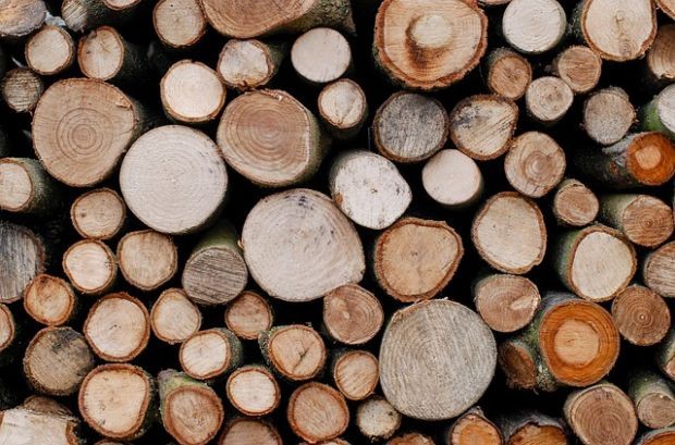 Троен скок в заявките за дърва за огрев във Варненска област