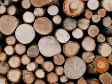 Троен скок в заявките за дърва за огрев във Варненска област
