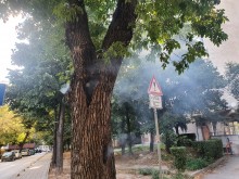 Пловдивчани предотвратиха инцидент в центъра на града