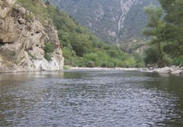 Започва зарибяване на водоемите в цяла Югозападна България с балканска