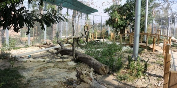 </TD
>Пловдивчани ще почакат още за зоопарка, защото средствата, предвидени за