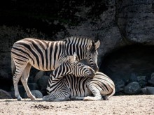 ����� �� ���� � �������������� ������� � ����� �� ����� ��� �� 30 ������ �����
