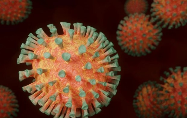 Новите случаи на коронавирус са 704 Положителни са 13 1 от направените