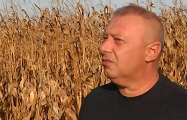 Зърнопроизводители от месеци обвиняват държавата че не защитава по никакъв начин
