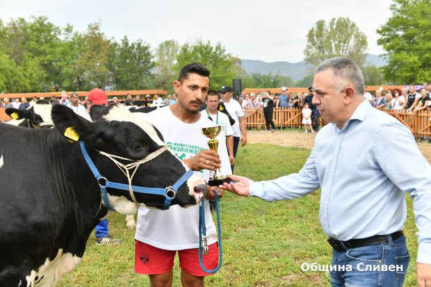 Община Сливен предоставя над 50 хиляди декара на животновъдите в района за пасища