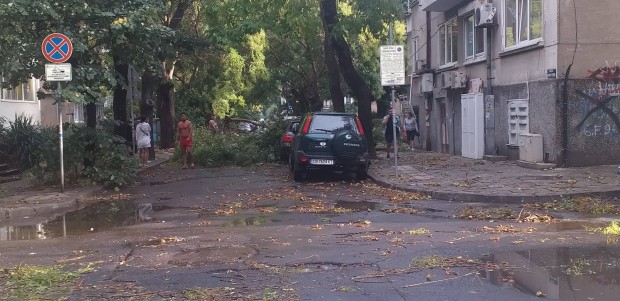 Кметът на Бургас: Шофирайте с повишено внимание