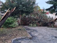 Мощна буря нанесе огромни щети на два електропровода на ЕСО в района на град Поморие