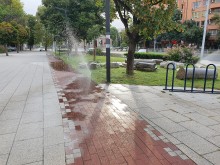 Само в Пловдив освен тревата поливат и плочките на велоалеите