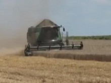 Шефът на НАЗ: Проба от украинско зърно показа, че е пълен боклук