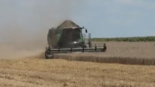 Съмнения за качеството на украинското зърно което се внася у