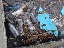 Гнусотия! Умрели плъхове "плуват по гръб" до Морска гара – Бургас! Смрадта е неописуема!