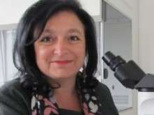 Доц. Любомира Николаева-Гломб: Заболяемостта започна леко да се покачва заради застудяването