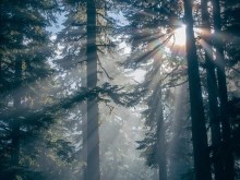 ����: �� �� ������� ������ �� �������, �� ����� �� ��������� - ����